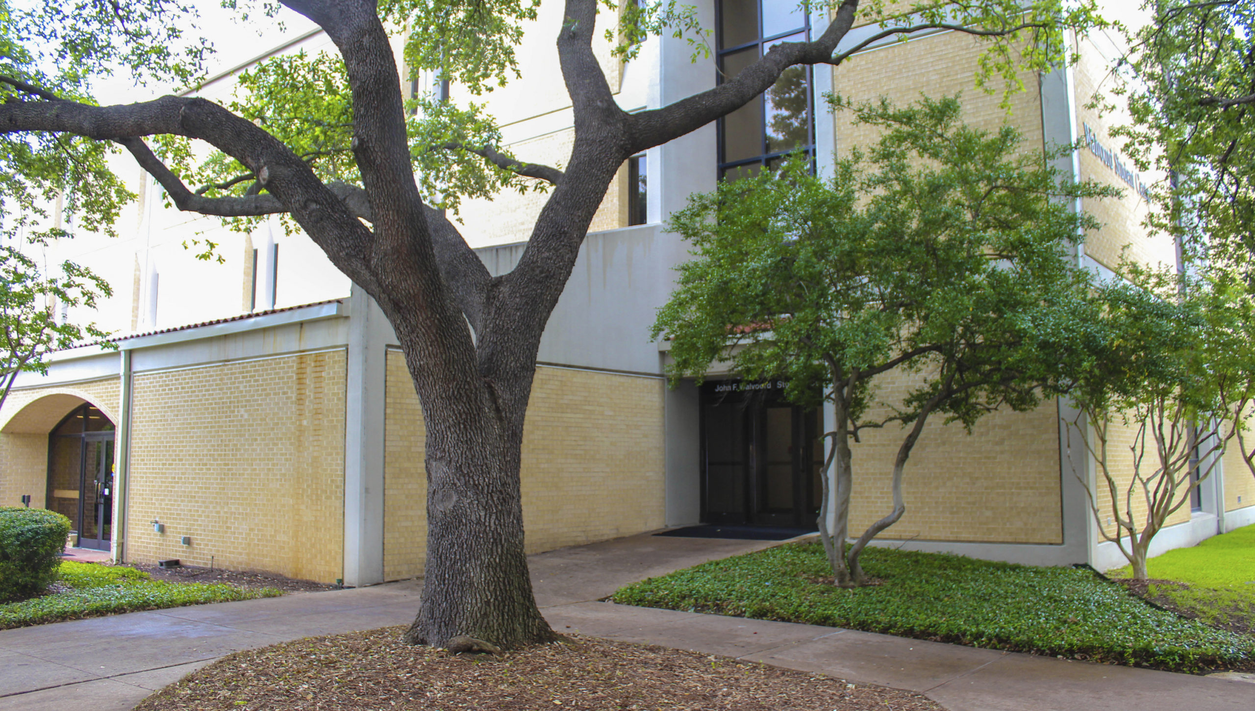 tree in front of Walvoord Hall