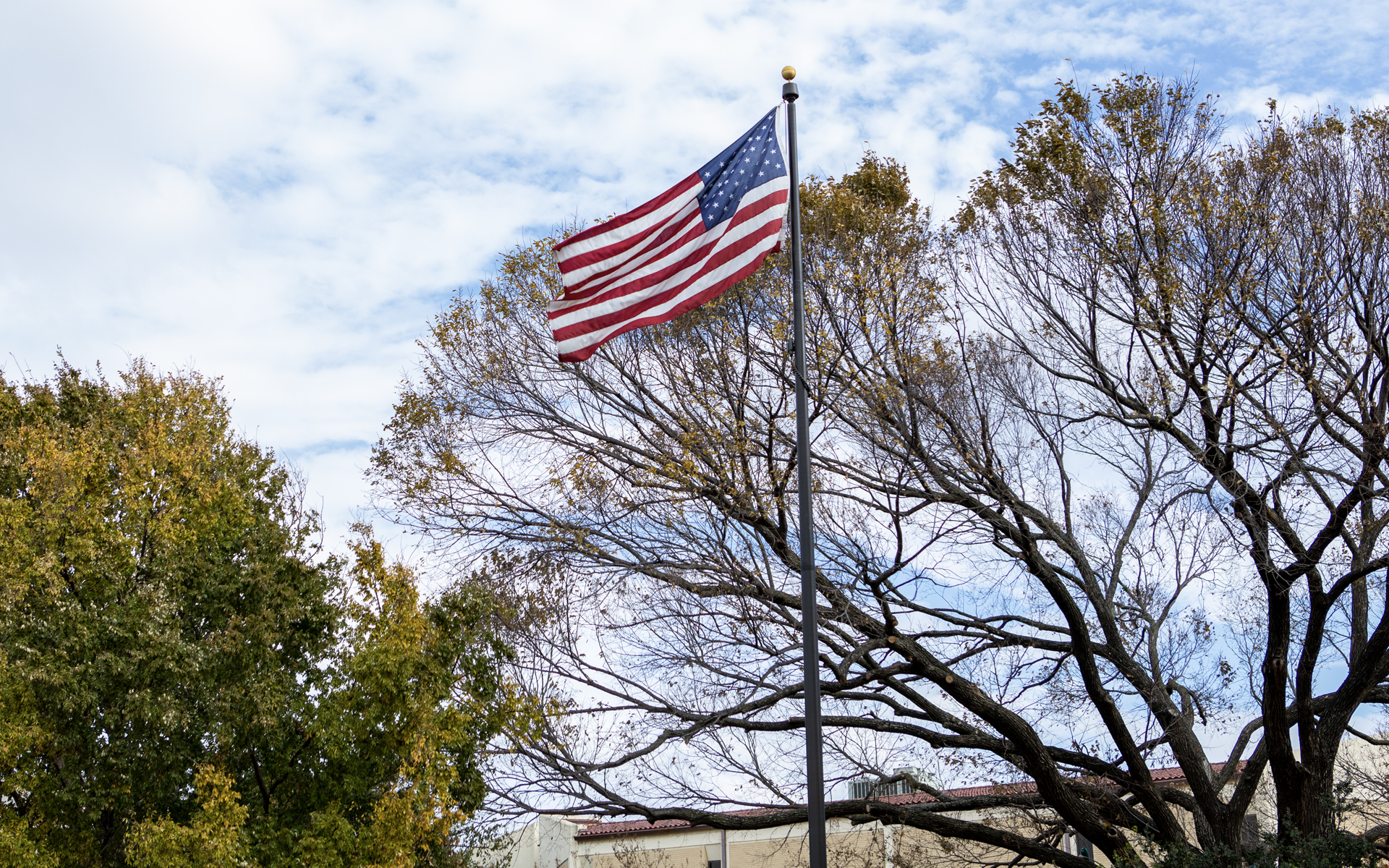 flag on campus