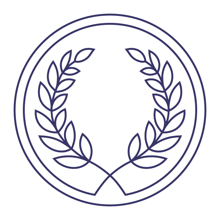 CV Icons 04 Pursue Excellence in Everything